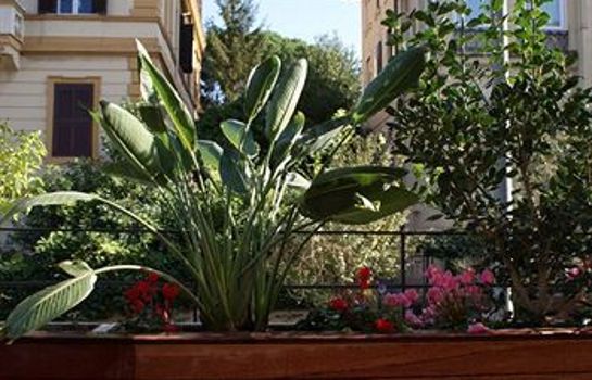 Palm Gallery Hotel