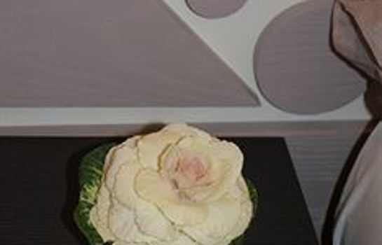 Palm Gallery Hotel