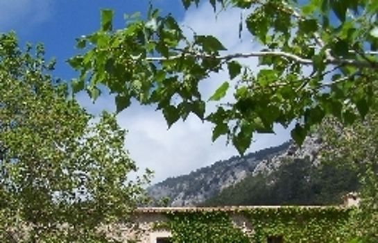 Finca Honor Vell