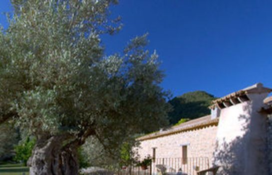 Finca Honor Vell