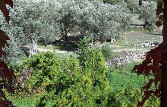 Finca Honor Vell