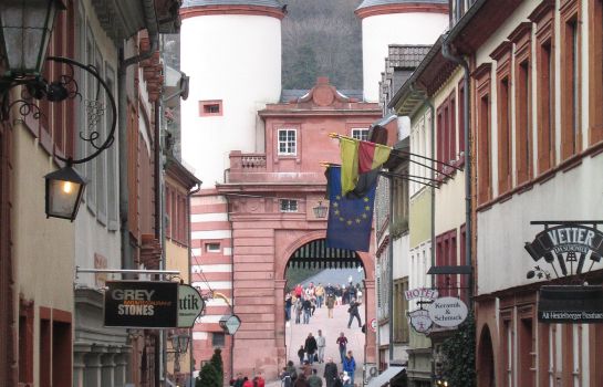 Wohlfühl-Hotel Neu Heidelberg