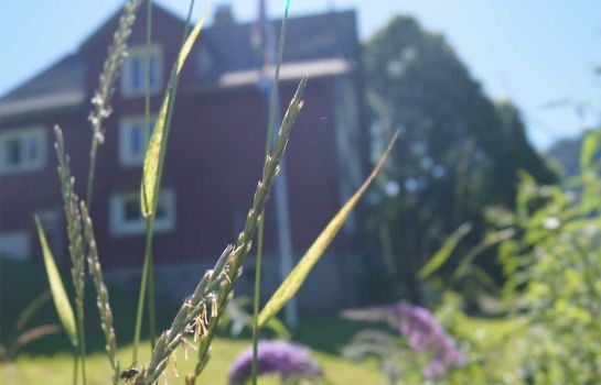 AmdenLodge Bienenheim Naturhostel