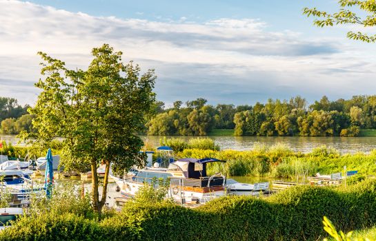 Au an der Donau Camping & Pension