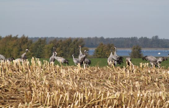 Seeblick