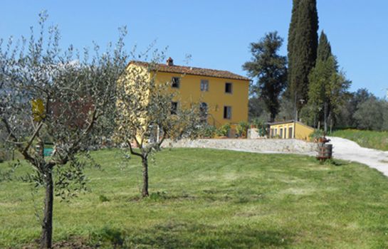 Amedea Tuscany Country Experience