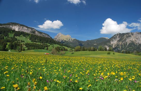 Aggenstein
