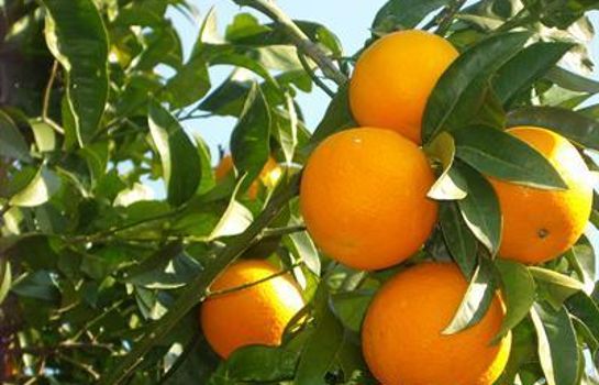 La Magnolia Hotel Sorrento