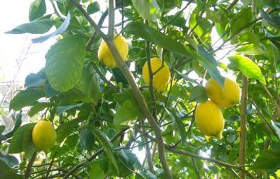 La Magnolia Hotel Sorrento