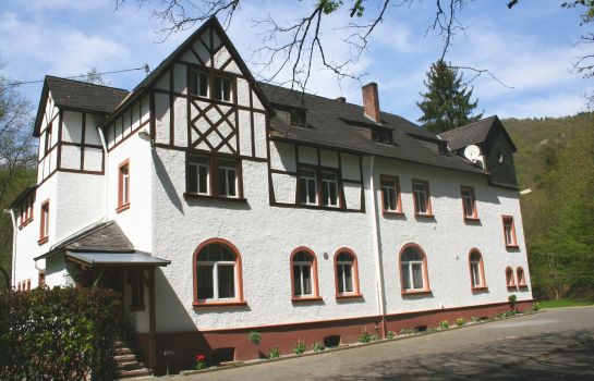 Wald Villa Üssbach Appartements