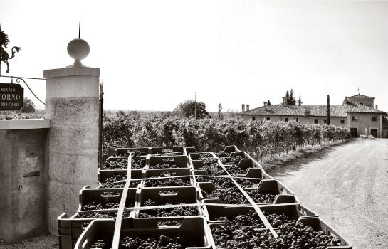 L'Unicorno Agriturismo