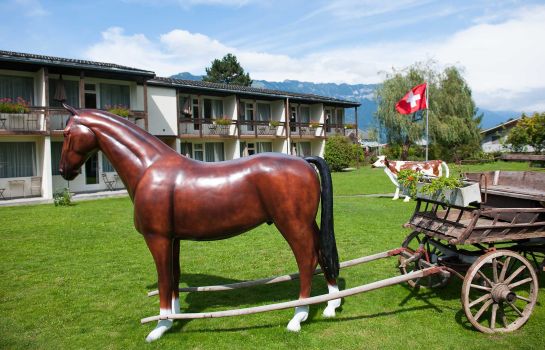 Alpine-Inn by Jungfrau Hotel