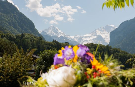 Alpine-Inn by Jungfrau Hotel