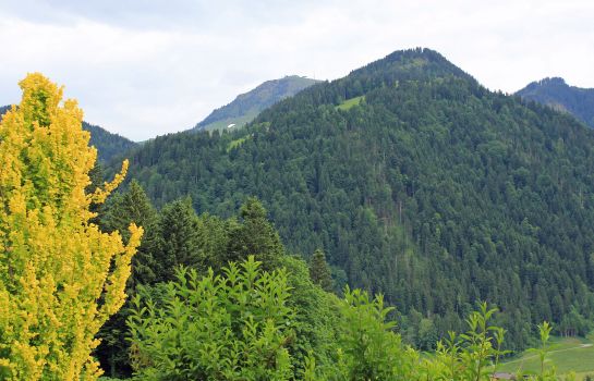 Agerhof Ihr Wirtshaus auf der Söller Sonnseit’n