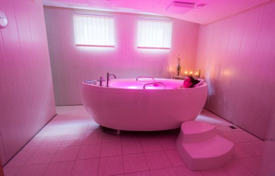 Spa Hotel Zámek Lužec