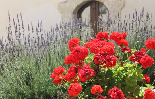 Chiusa di Carlo Agriturismo