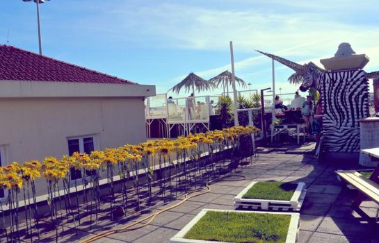 Sunset Destination Hostel