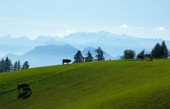 Gasthof Krone