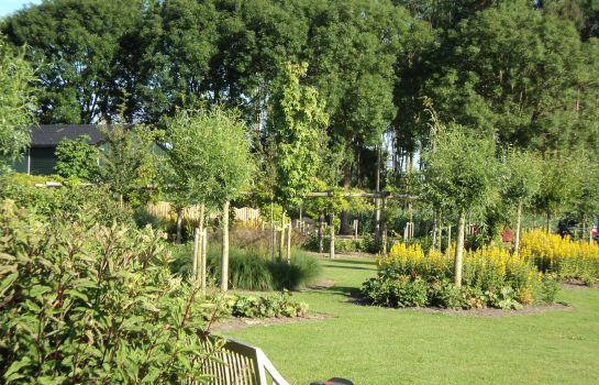 Lodgerie Het Groene Geheim