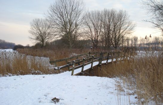 Lodgerie Het Groene Geheim