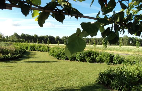 Lodgerie Het Groene Geheim