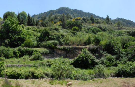 Sa Vall