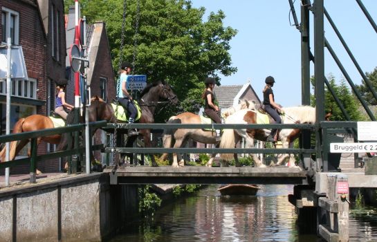de Goudvink