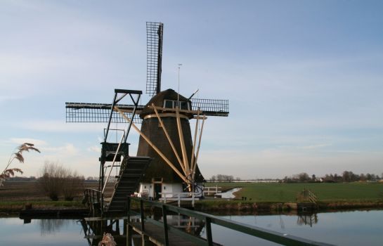 de Goudvink