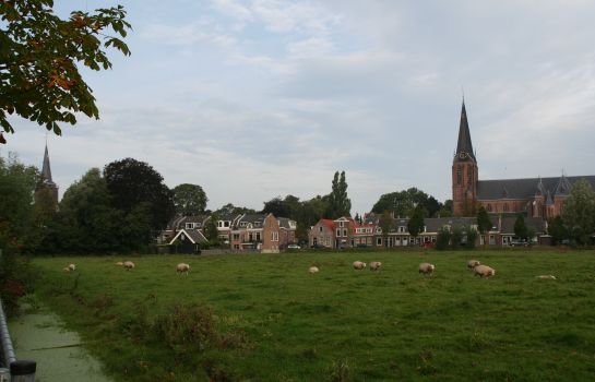 de Goudvink