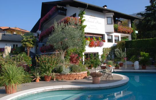 Hotel Schmied Hans
