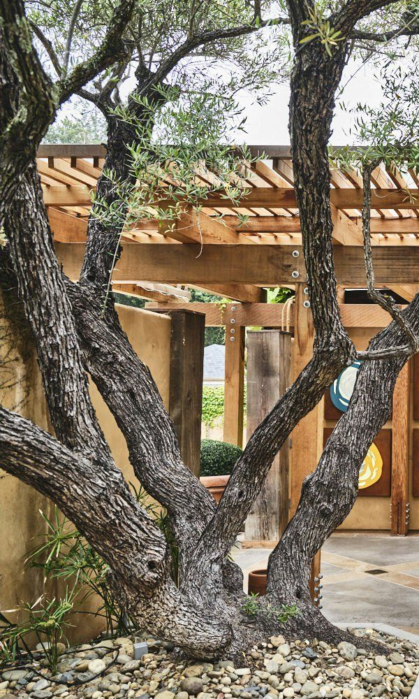 Auberge Du Soleil - California