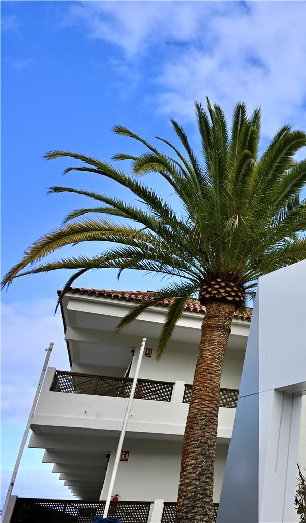 Radisson Resort And Residences Tenerife - Tenerife