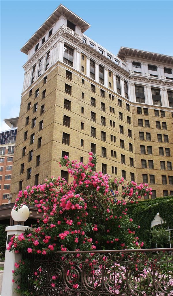 The Saint Paul Hotel Minneapolis St. Paul - Saint Paul, MN