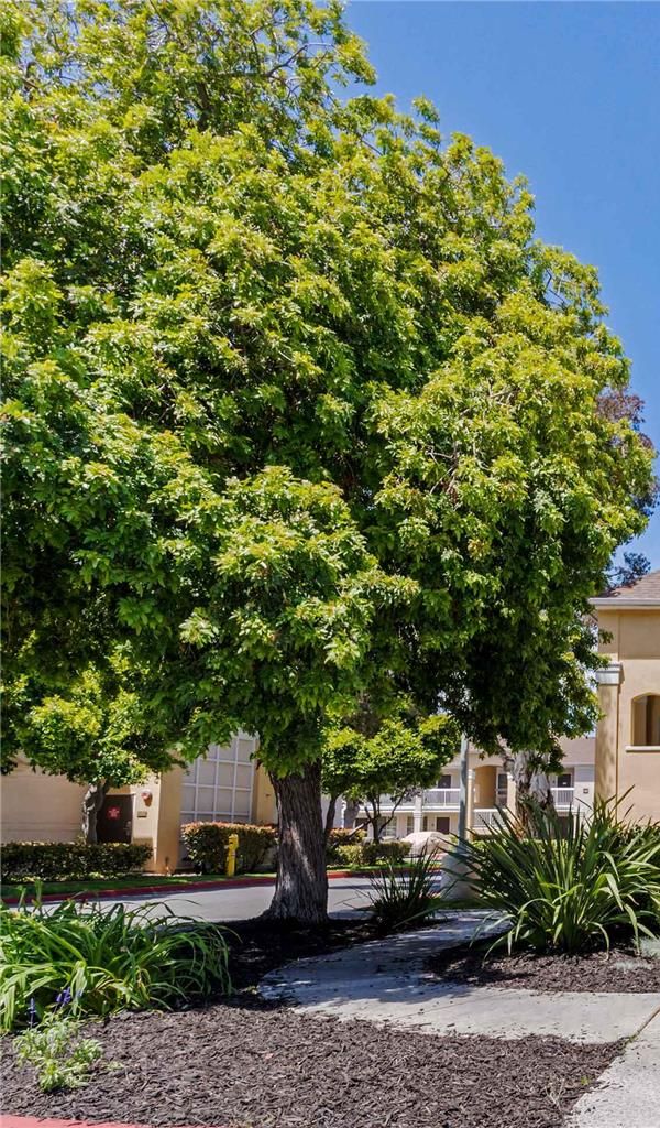 Extended Stay America - San Jose - Sunnyvale - 森尼韋爾