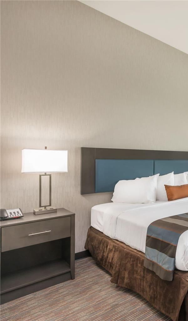 Wingate By Wyndham Lubbock Near Texas Tech Univ. Medical Ctr - Lubbock, TX
