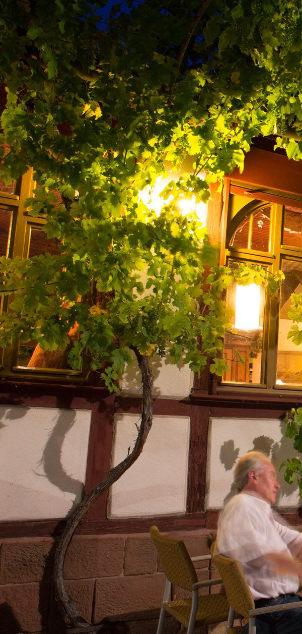 Hotel Weinhaus Stern - Miltenberg