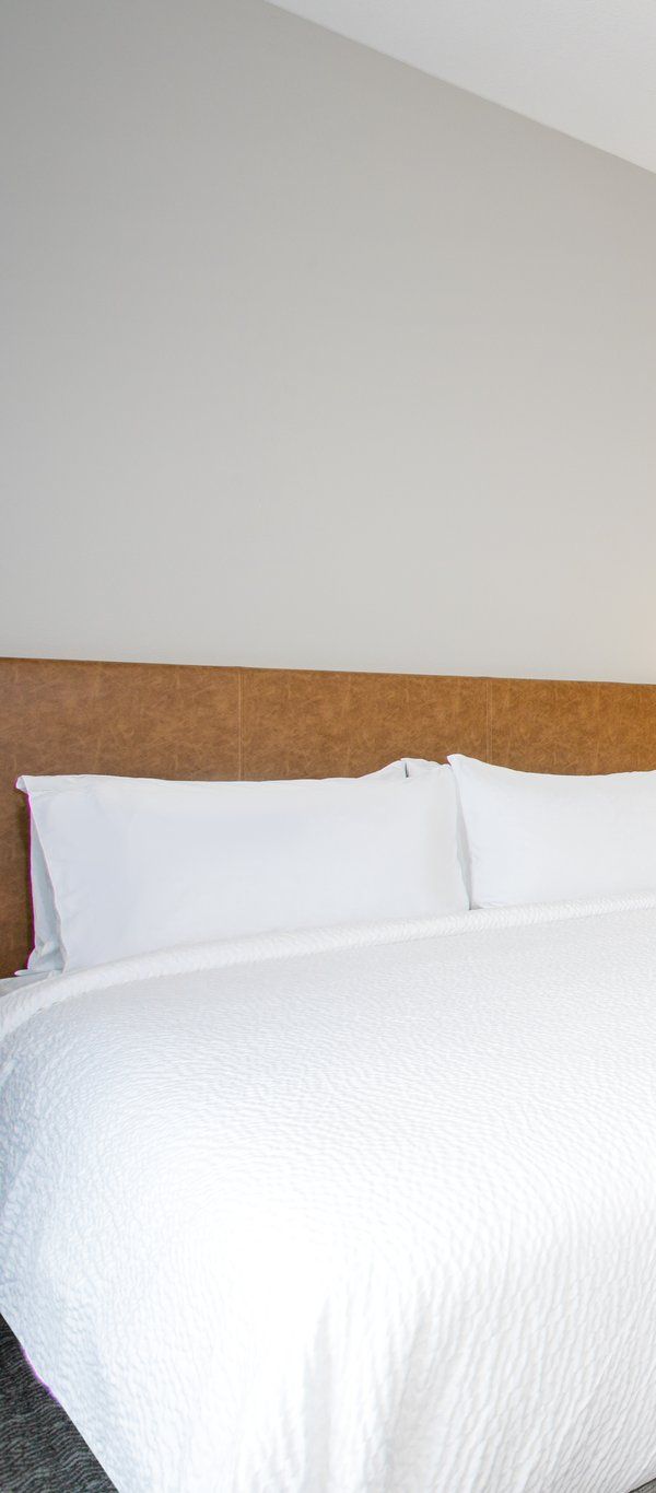 Staybridge Suites Winter Haven - Auburndale By Ihg - Winter Haven, FL