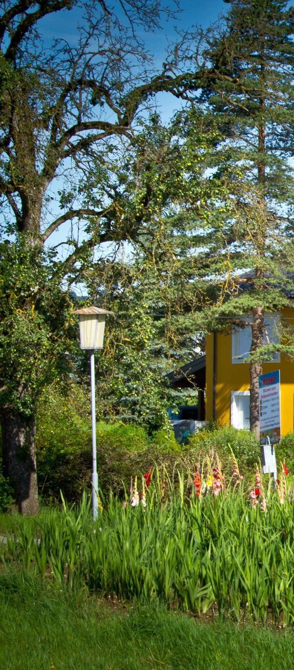 Gasthof Betenmacher - Wolfgangsee