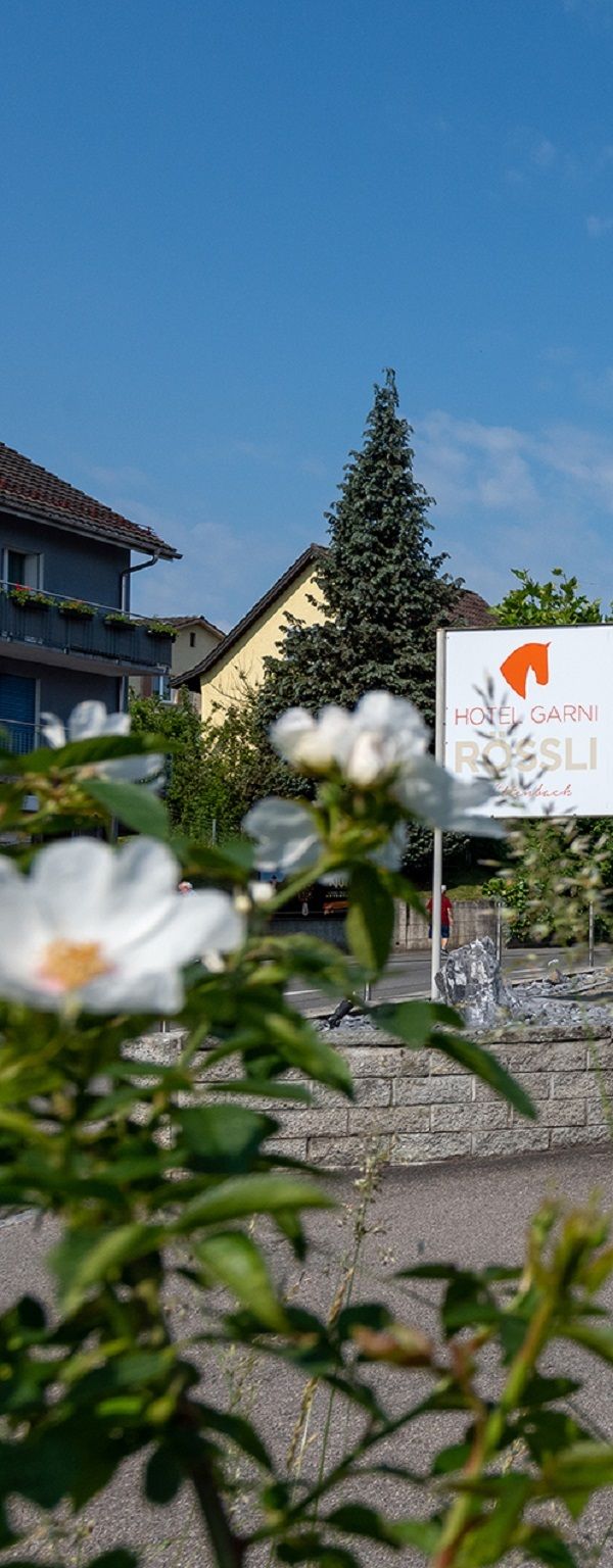 Hotel Garni Rössli - Saint-Gall