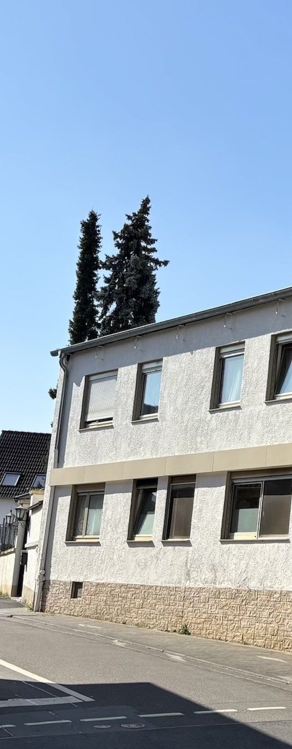 Hotel Adler - Mayence