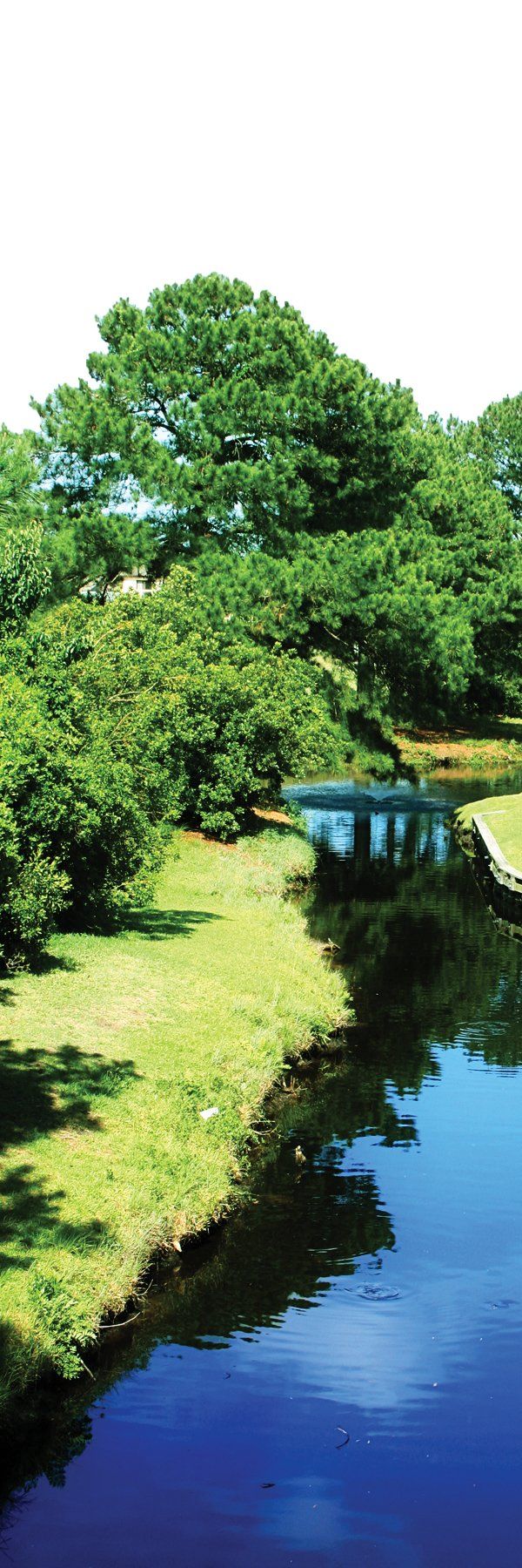 Club Wyndham Plantation Resort - Surfside Beach, SC