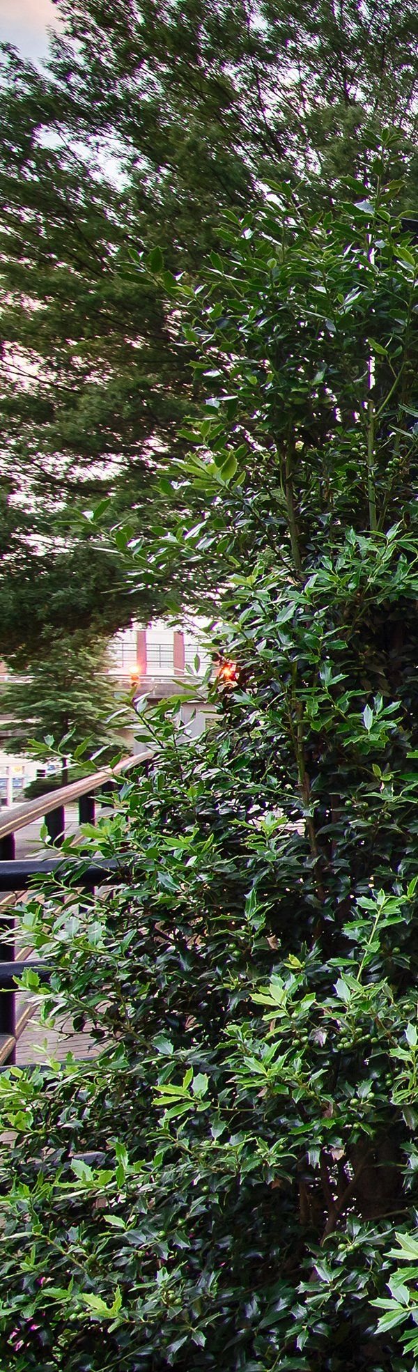 Omni Richmond Hotel - Richmond, VA