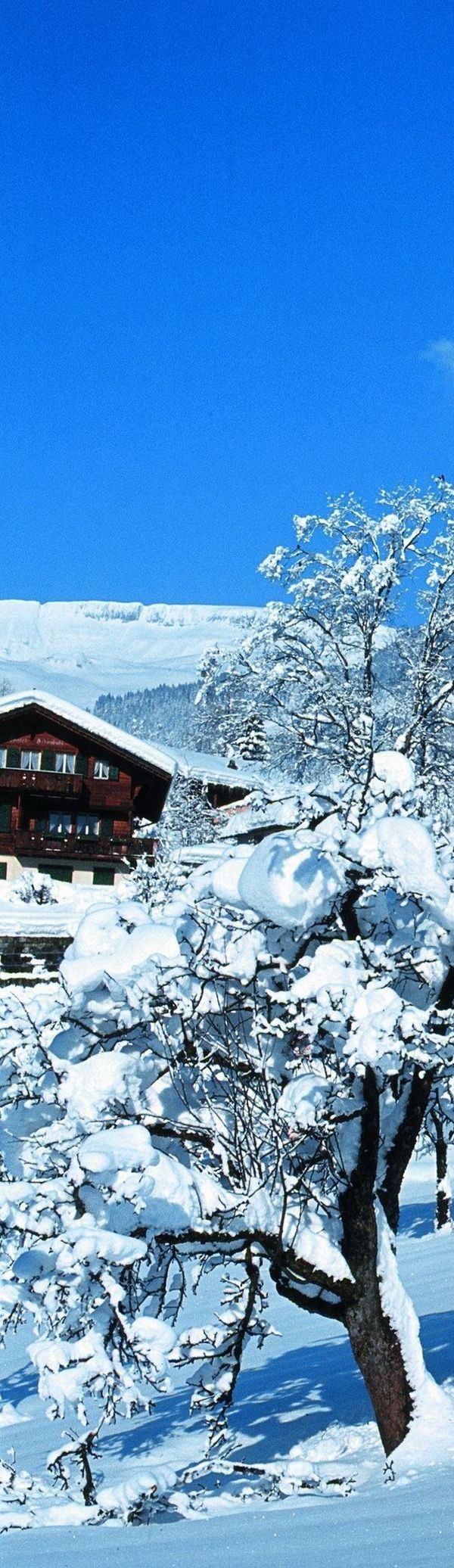 Hotel Cabana - Grindelwald