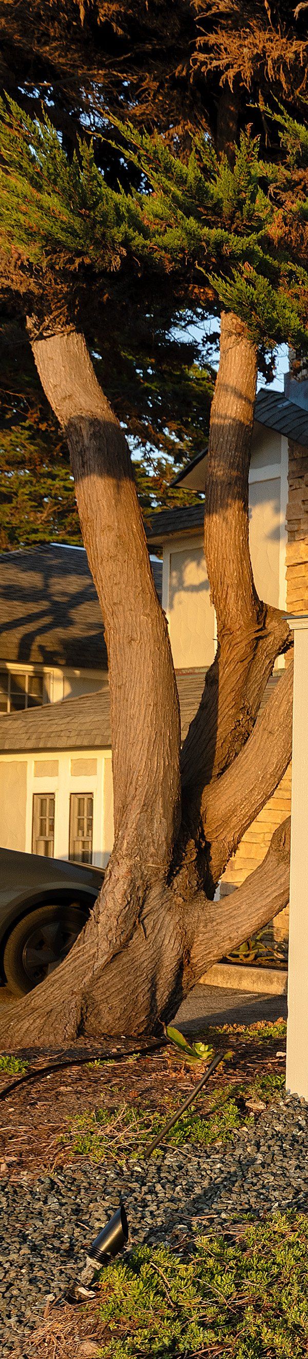 Fogcatcher Inn - Cambria, CA