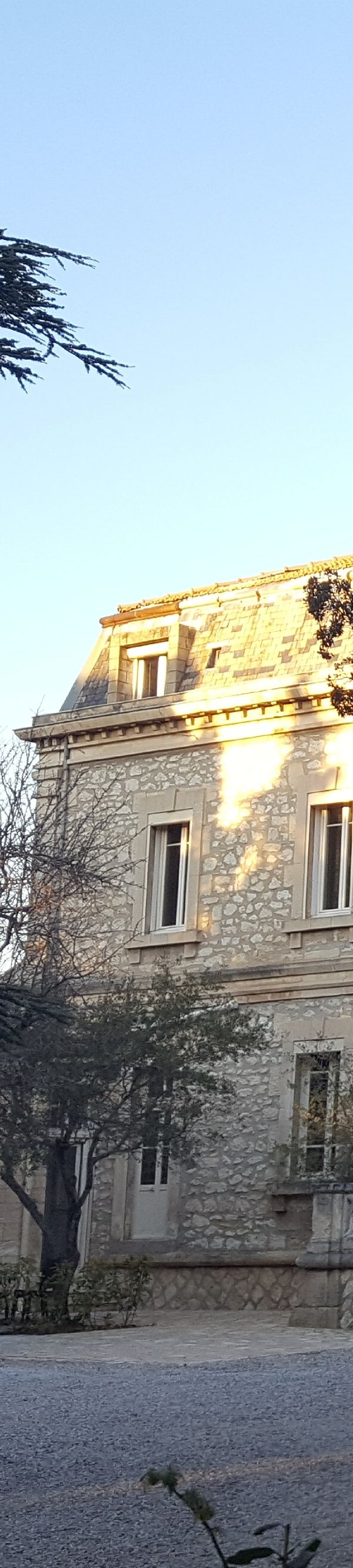 Les Cedres Logis - Villeneuve-lès-Avignon