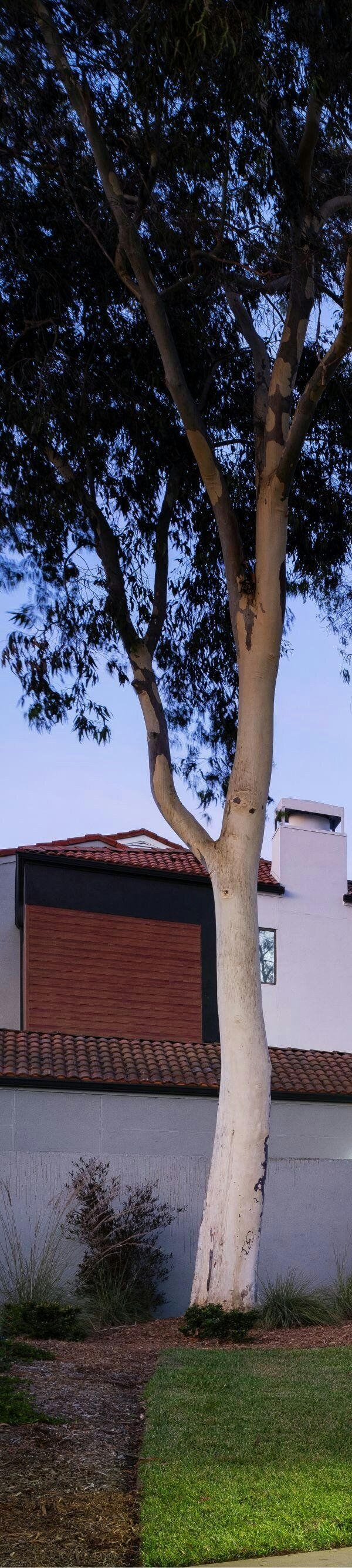 Courtyard By Marriott Los Angeles Torrance Palos Verdes - Torrance, CA