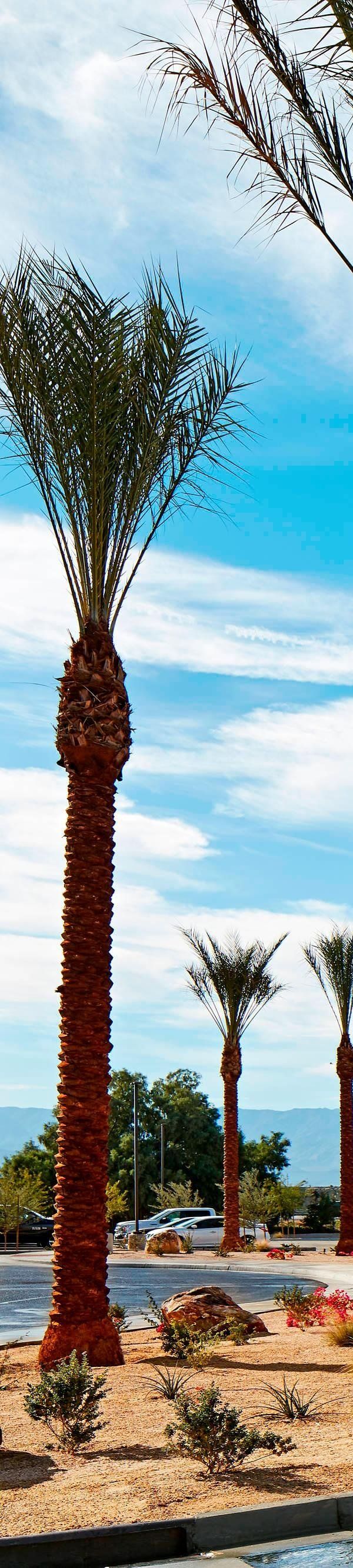 Fairfield Inn And Suites By Marriott Indio Coachella Valley - 코첼라
