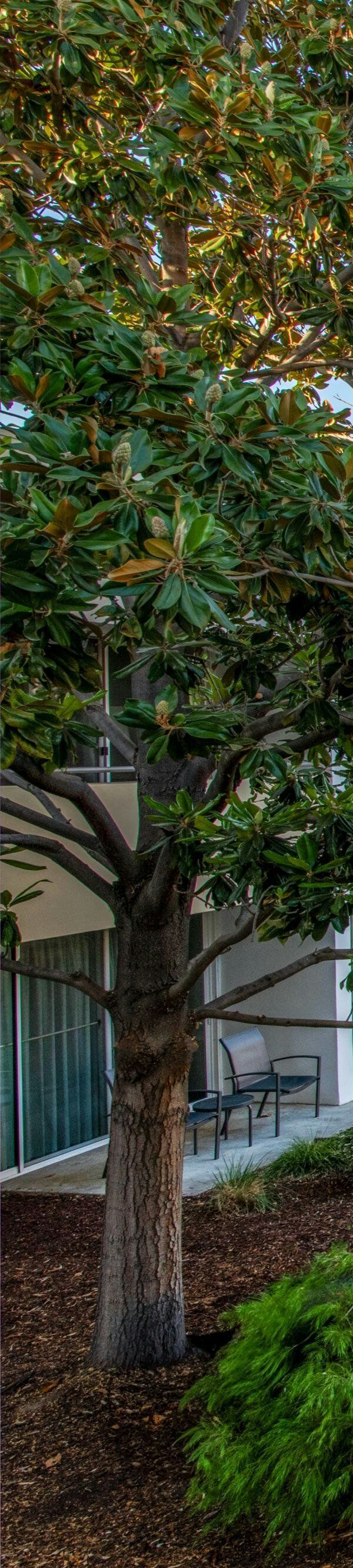 Fairfield Inn And Suites By Marriott San Jose Airport - San Jose, CA
