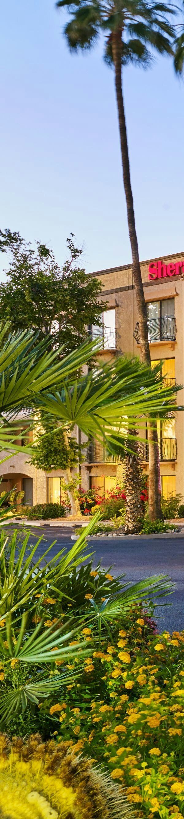 Sheraton Tucson Hotel And Suites - Tucson, AZ