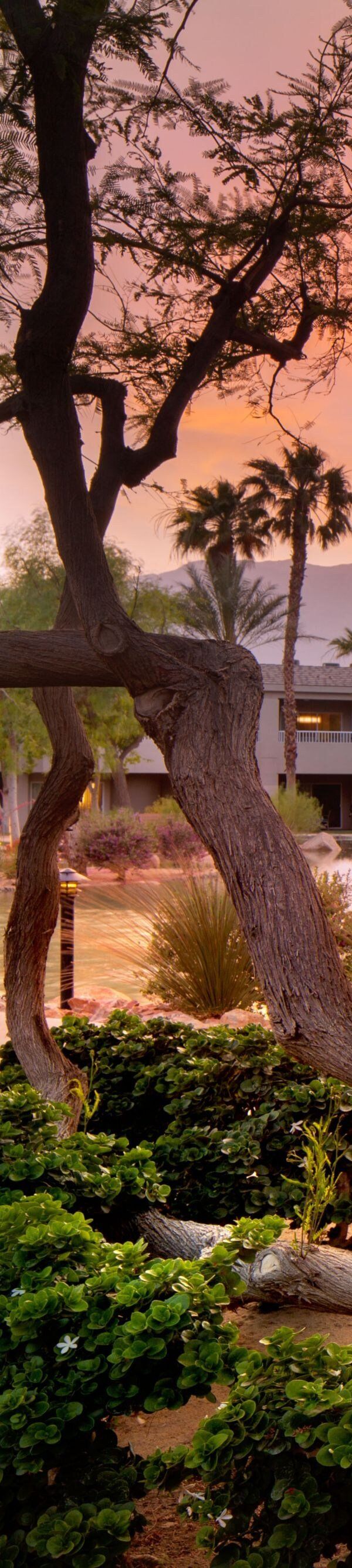 The Westin Mission Hills Resort Villas Palm Springs - Rancho Mirage, CA